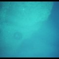 p_0031
