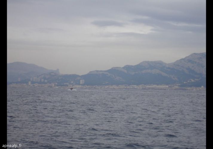 twg_slideshow