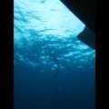 p_0018