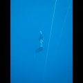 p_0019