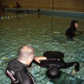DSC00979