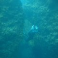 IMG_8103