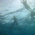 IMG_8161