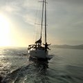 260520123594