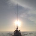 260520123595