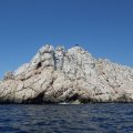 Jour 1 Baie des singes (22)