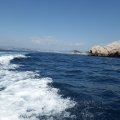 Jour 1 Baie des singes (23)