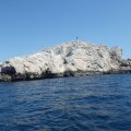 Jour 1 Baie des singes (26)