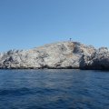 Jour 1 Baie des singes (28)