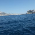 Jour 1 Baie des singes (31)