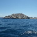 Jour 1 Baie des singes (32)