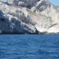 Jour 1 Baie des singes (34)