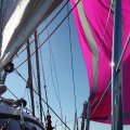 20141018_112754