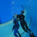 IMG_3239