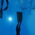 IMG_3242