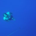 P7040015