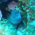 P7040099