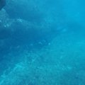 IMG_3086