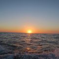 IMG_3130