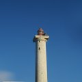 IMG_3219