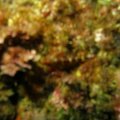 PA310107