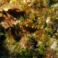 PA310108