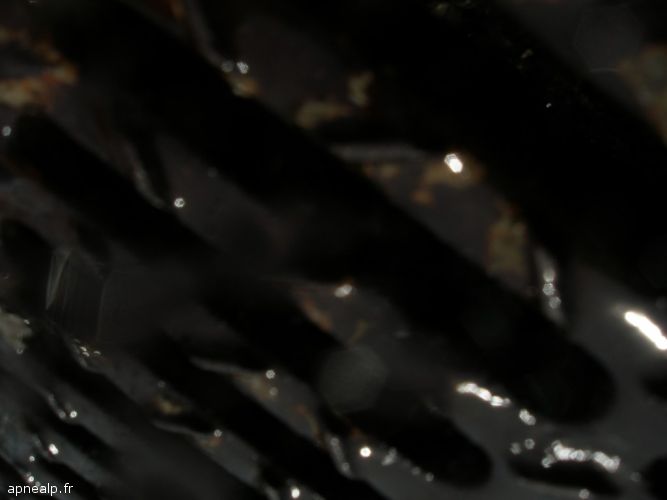 twg_slideshow