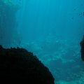 P9260052