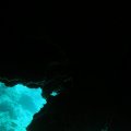 P9260088
