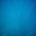 FILE0016