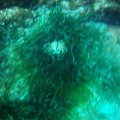 FILE0051