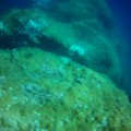 FILE0052