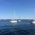 IMG_3670
