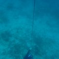 IMG_8669
