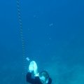 IMG_8685