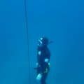 IMG_8688