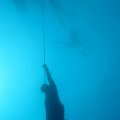 IMG_8693