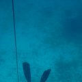 IMG_8694