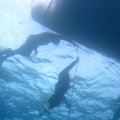 IMG_8700