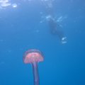 IMG_8701