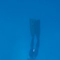 IMG_8706