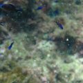 IMG_8724