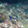 IMG_8726