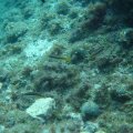 IMG_8727