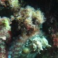 IMG_8736