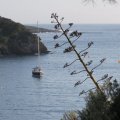 Voile apnÃ©e Port-Cros 14-16.05.16 (14)