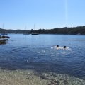 Voile apnÃ©e Port-Cros 14-16.05.16 (54)