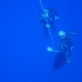 P9240245