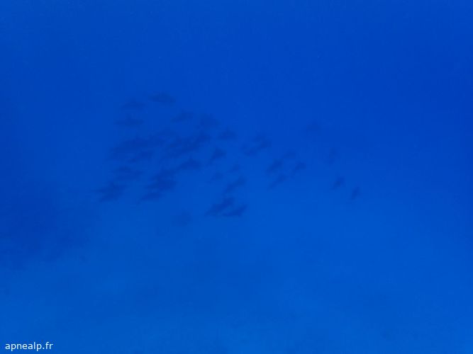 twg_slideshow