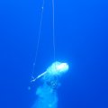 P9260488